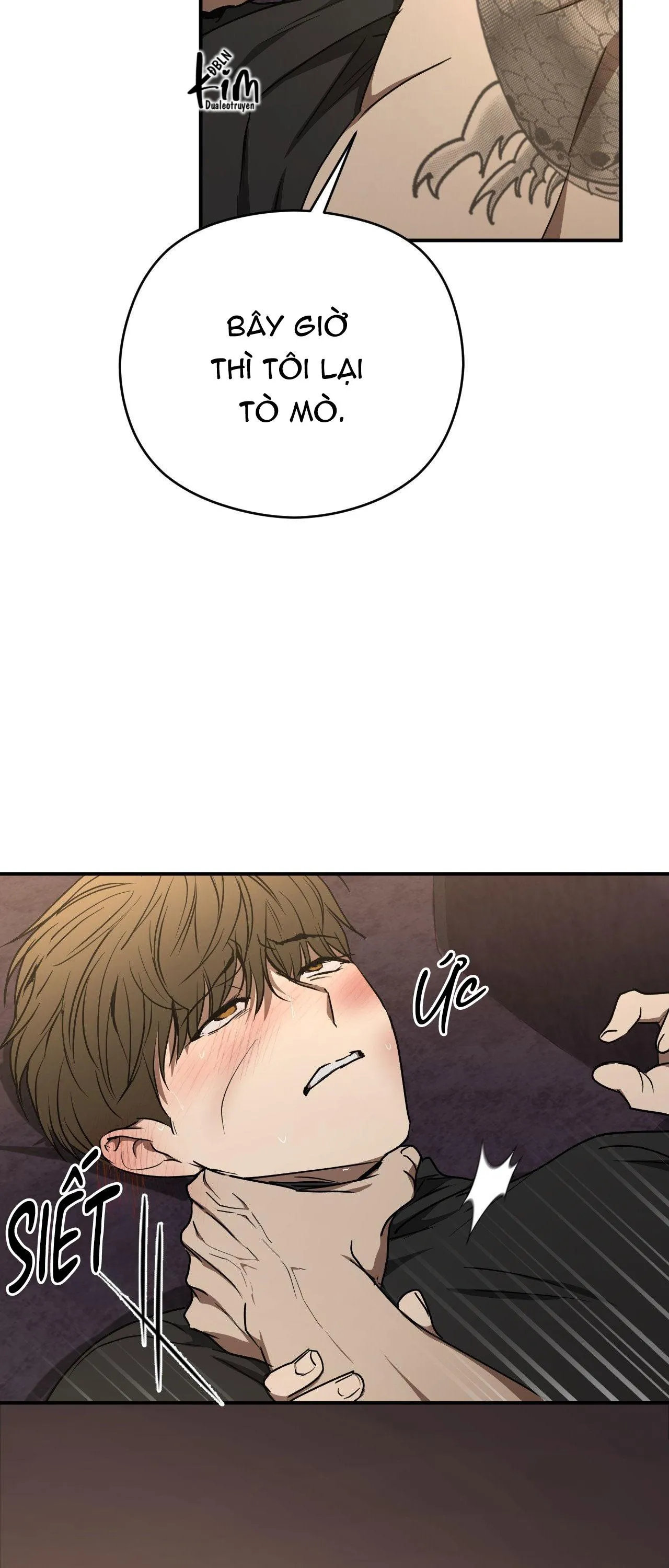 ĐỘC XÀ Chapter 17 Trang 12