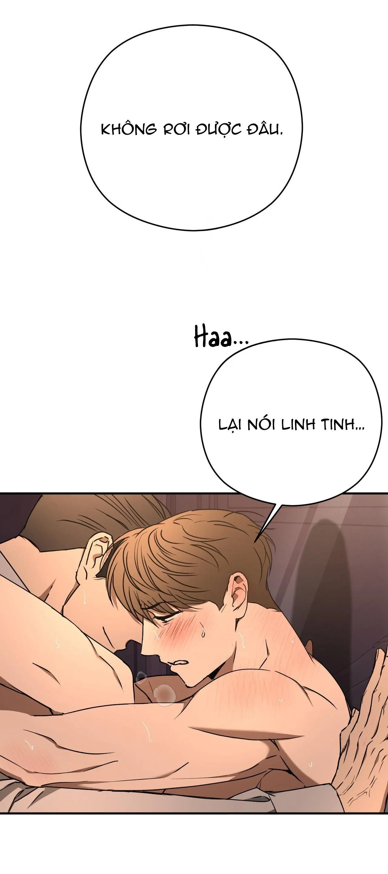 ĐỘC XÀ Chapter 22 Trang 8