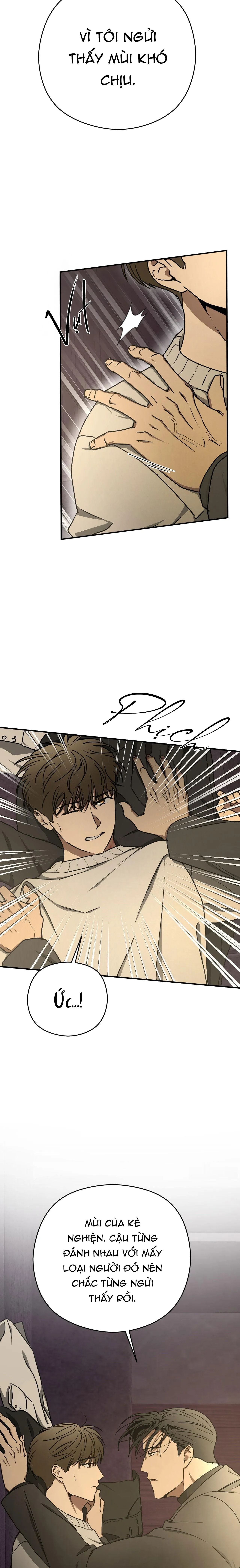 ĐỘC XÀ Chapter 27 Trang 7