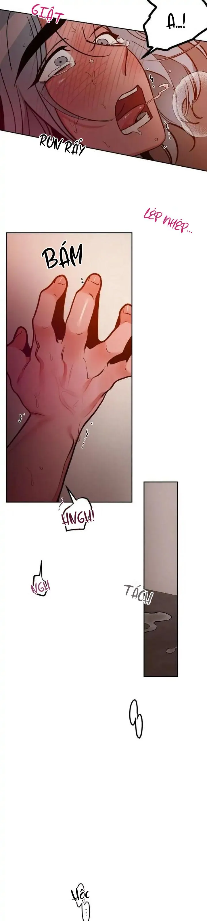 ĐỐI TÁC CƠ THỂ HOÀN HẢO Chapter 15 Trang 14
