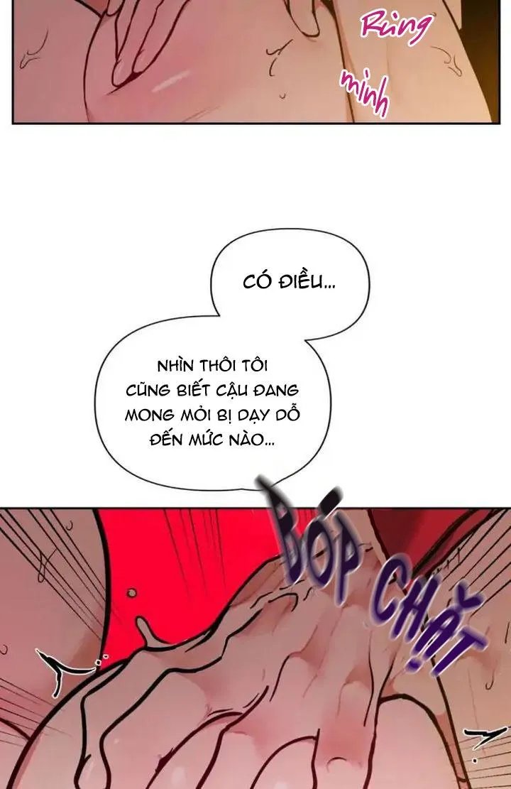 ĐỐI TÁC CƠ THỂ HOÀN HẢO Chapter 19 Trang 45