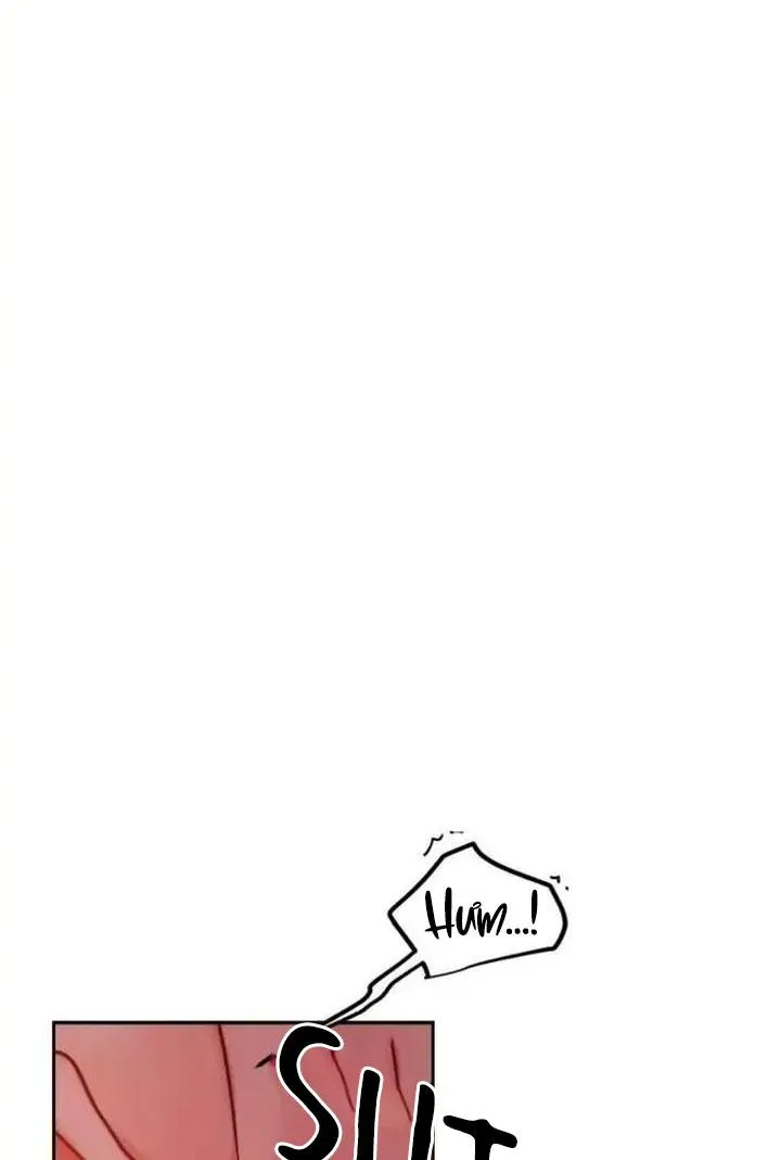 ĐỐI TÁC CƠ THỂ HOÀN HẢO Chapter 20 Trang 56