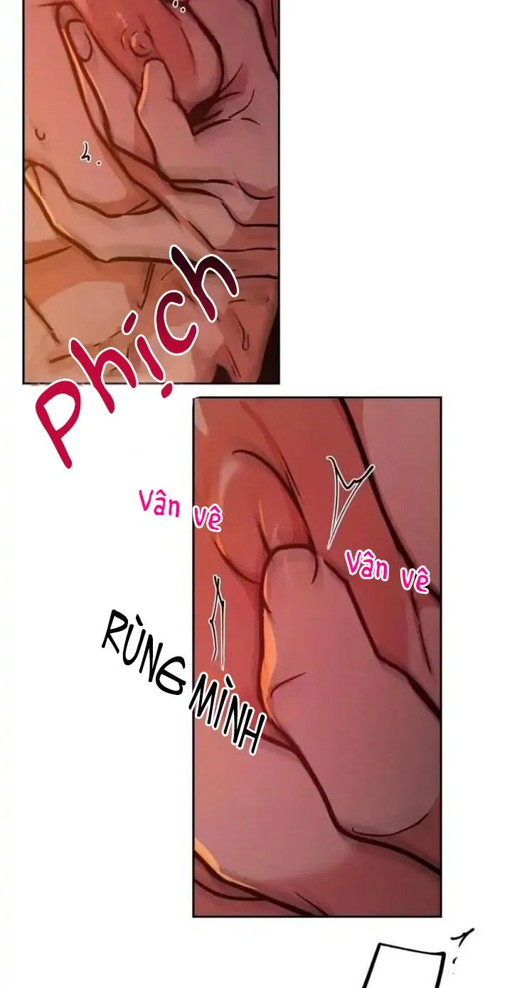 ĐỐI TÁC CƠ THỂ HOÀN HẢO Chapter 20 Trang 71