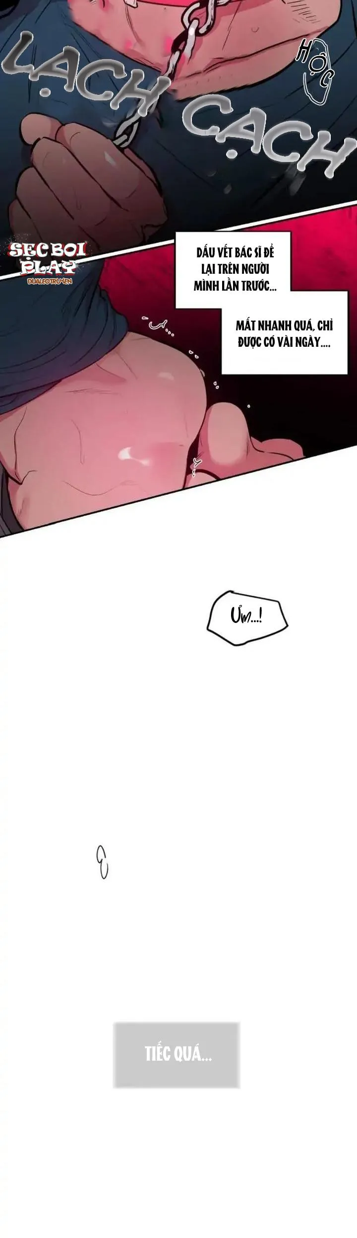 ĐỐI TÁC CƠ THỂ HOÀN HẢO Chapter 24 Trang 17