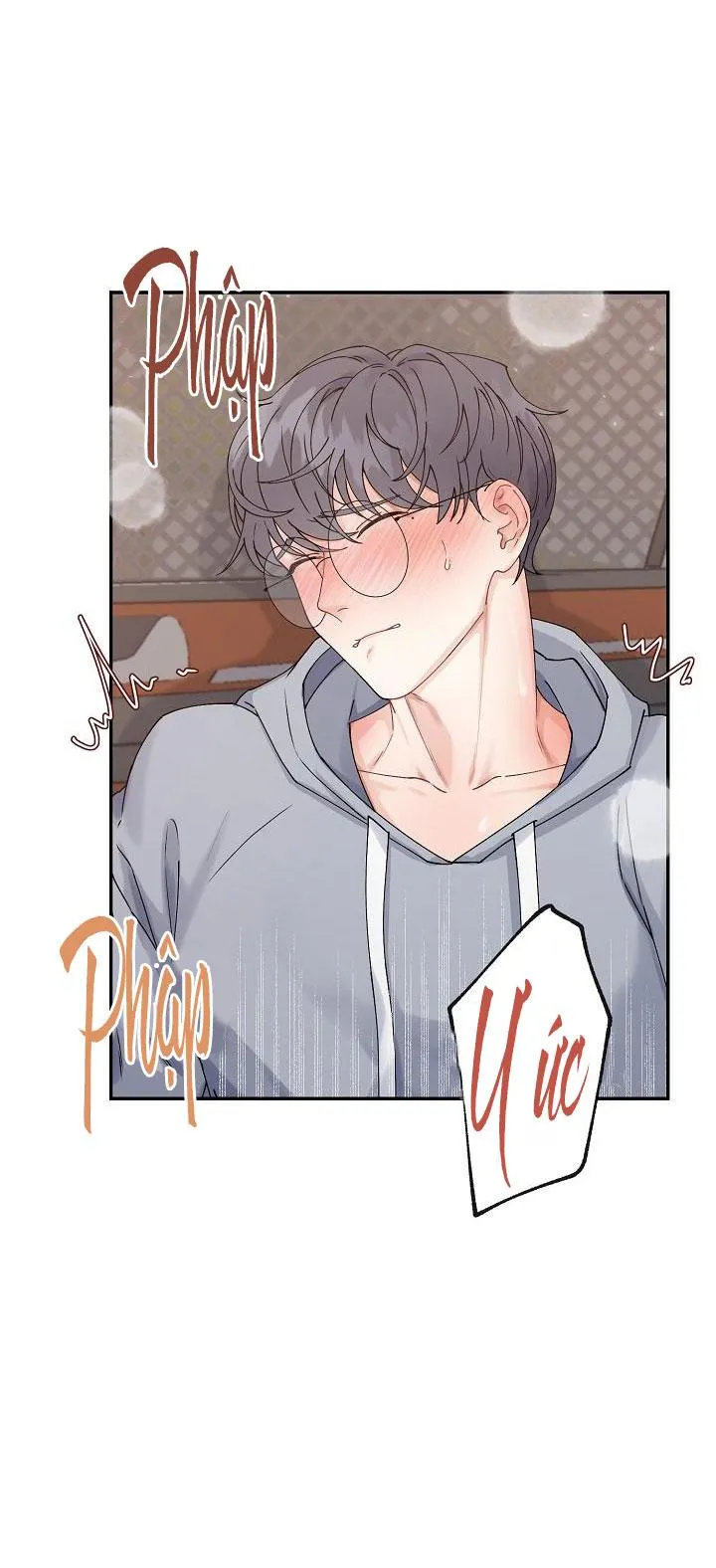 ĐỐI TÁC HOÀN HẢO Chapter 3 Trang 17