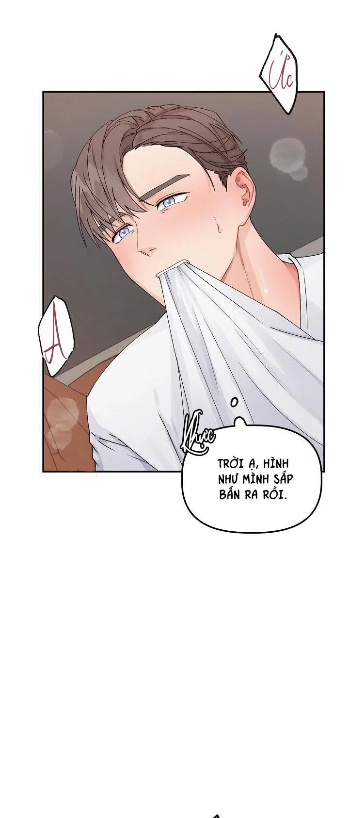 ĐỐI TÁC HOÀN HẢO Chapter 3 Trang 33