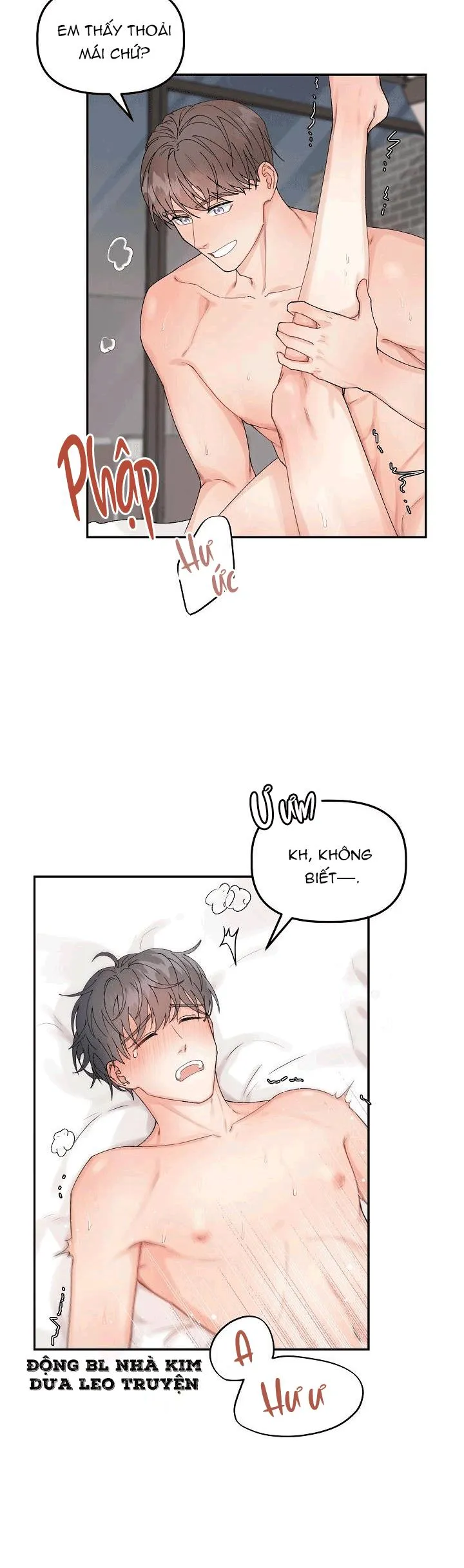 ĐỐI TÁC HOÀN HẢO Chapter 4 Trang 33