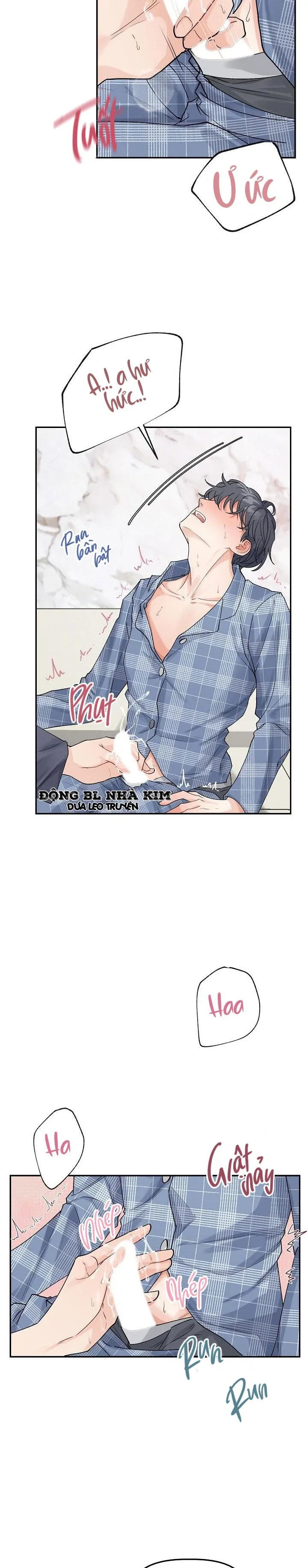 ĐỐI TÁC HOÀN HẢO Chapter 1 Trang 26