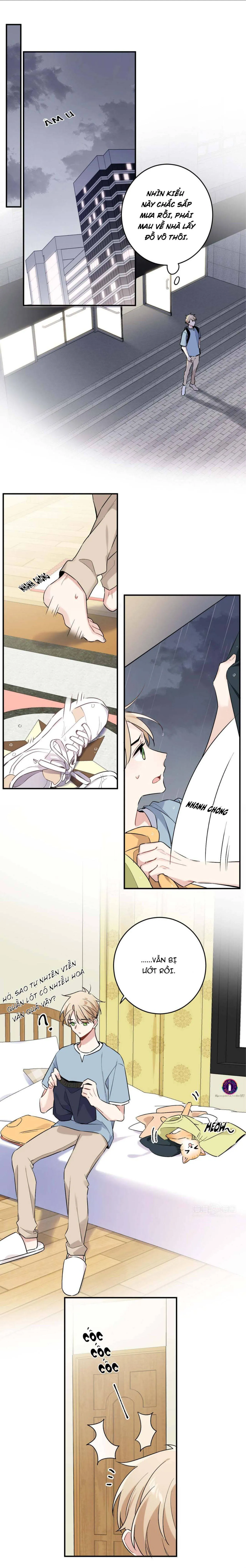 Đối Tượng Chung Nhà Là Tình Địch Thì Phải Làm Sao? (END) Chapter 5 Trang 11