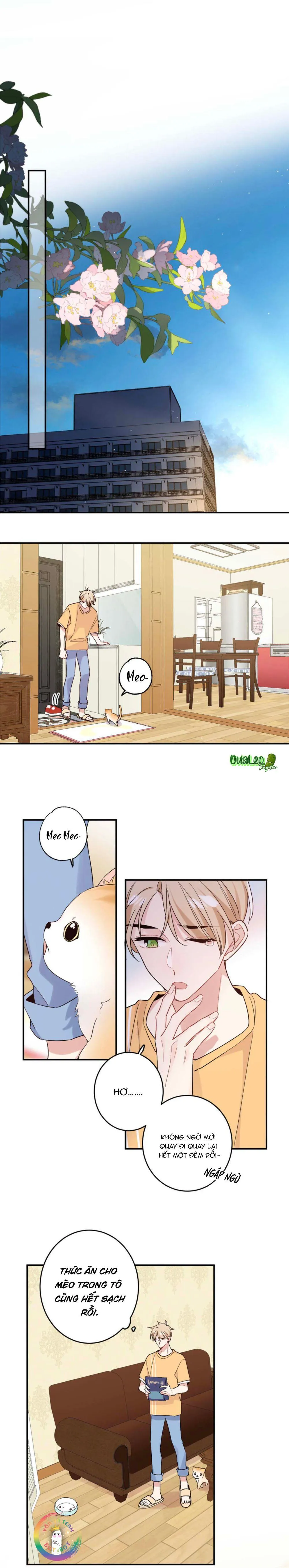 Đối Tượng Chung Nhà Là Tình Địch Thì Phải Làm Sao? (END) Chapter 27 Trang 6