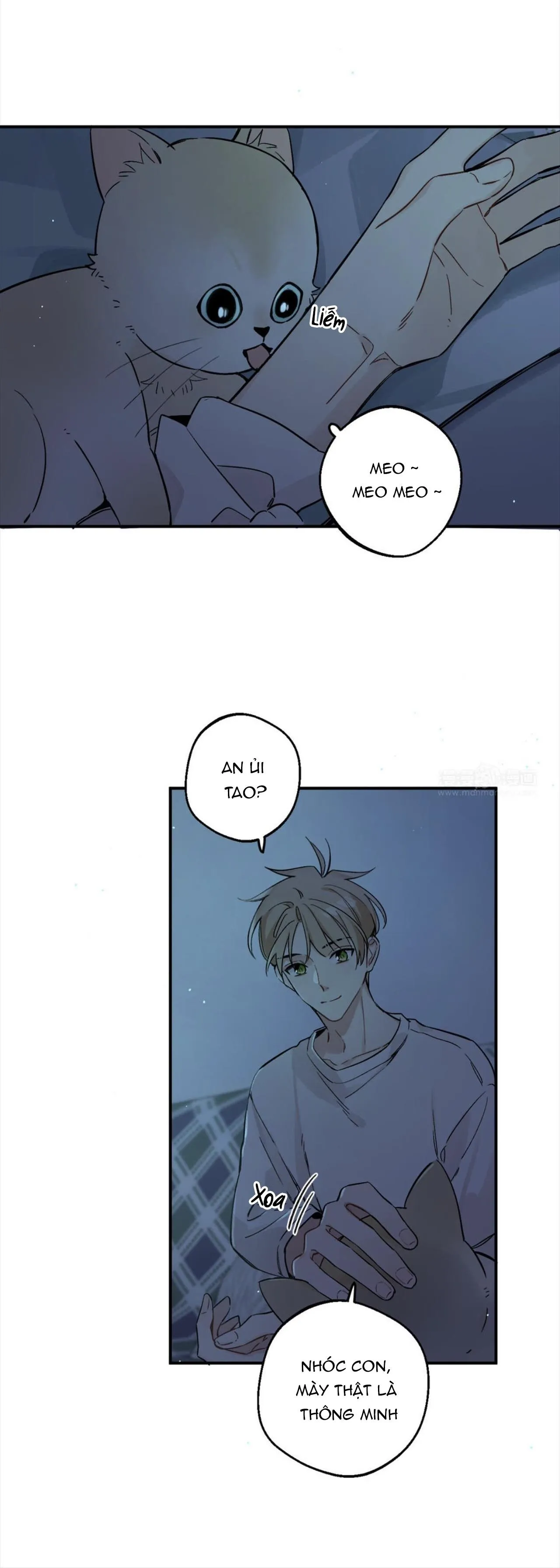 Đối Tượng Chung Nhà Là Tình Địch Thì Phải Làm Sao? (END) Chapter 52 Trang 13