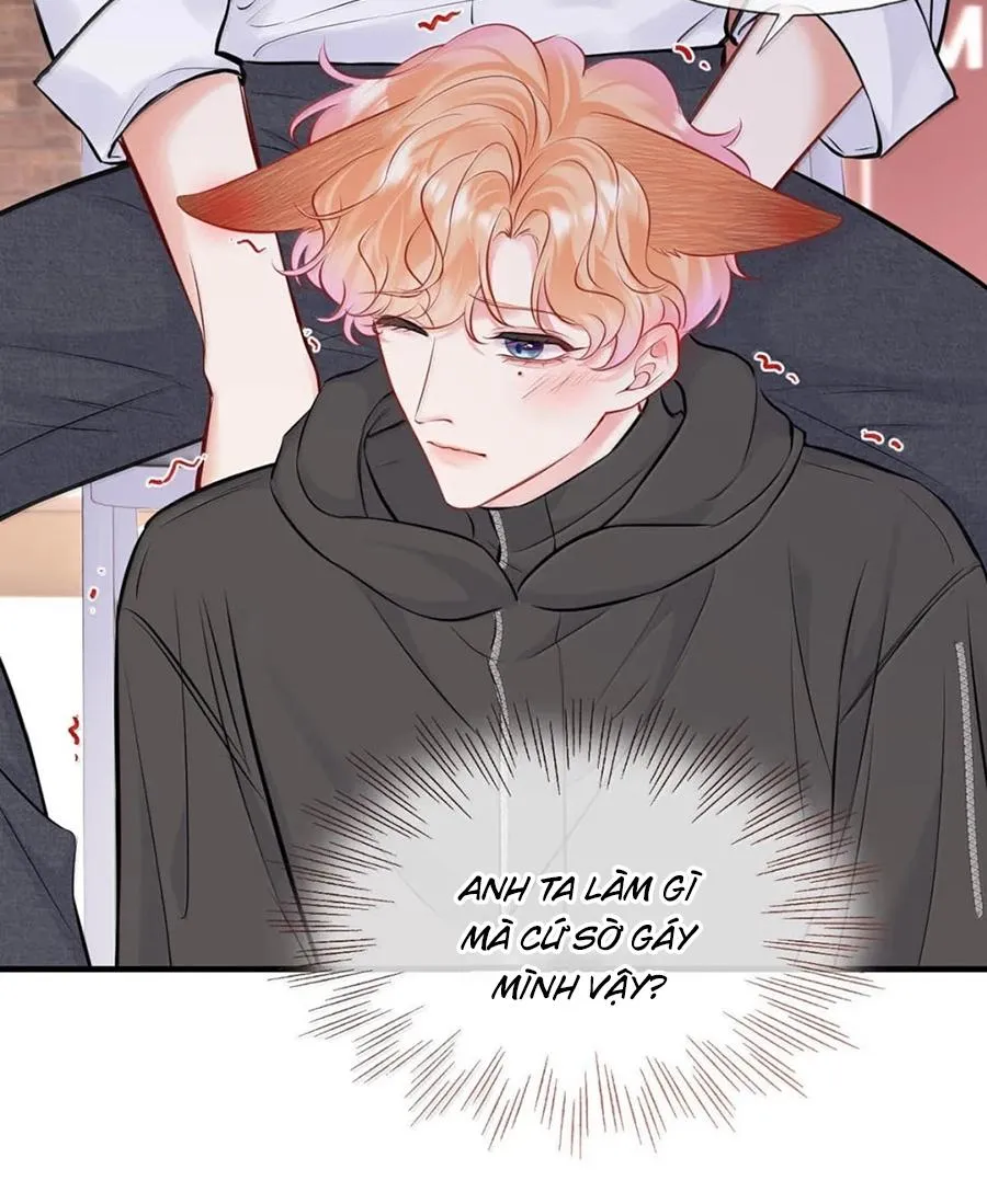 ĐỐI TƯỢNG CÔNG LƯỢC! THIẾT LẬP TÍNH CÁCH CỦA ANH BỊ MÉO MÓ RỒI! Chapter 41 Trang 7