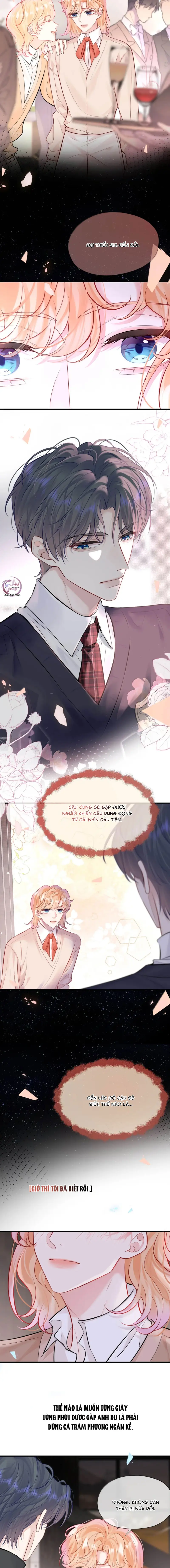 ĐỐI TƯỢNG CÔNG LƯỢC! THIẾT LẬP TÍNH CÁCH CỦA ANH BỊ MÉO MÓ RỒI! Chapter 51 Trang 9