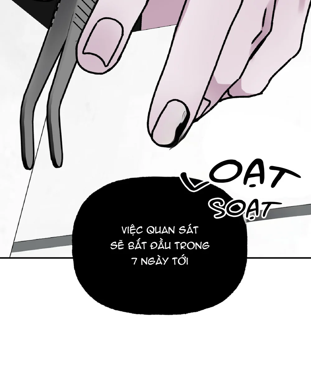 Đối Tượng Quan Sát Trong 7 Ngày Chapter 1 Trang 8