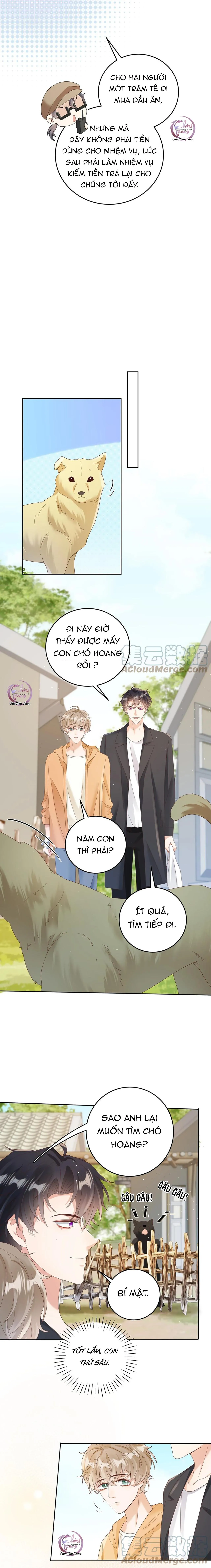 Đơn Phương Kết Hôn Chapter 26 Trang 8