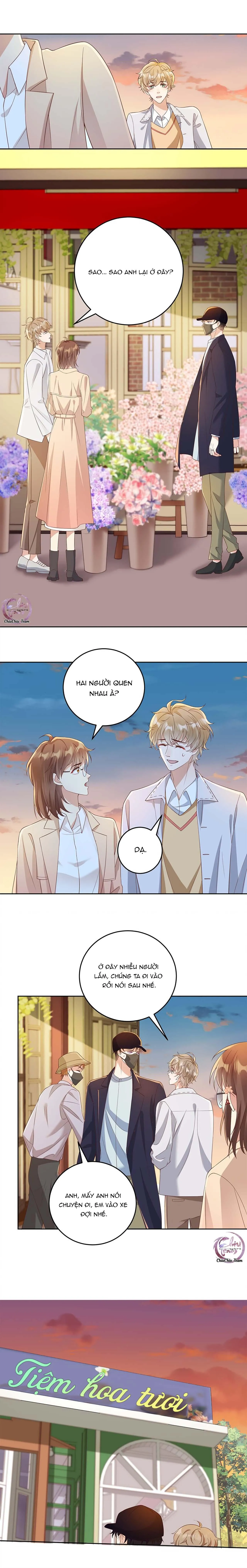 Đơn Phương Kết Hôn Chapter 33 Trang 5