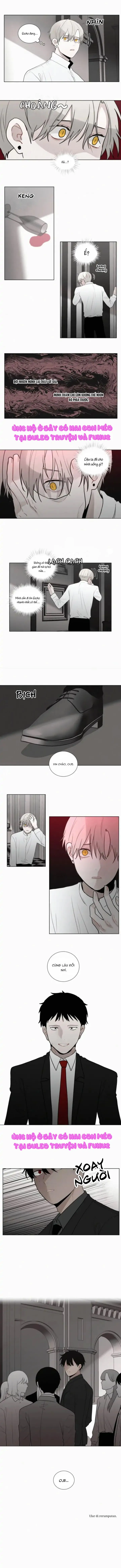 Dòng Máu Ma Cà Rồng Chapter 66 Trang 6