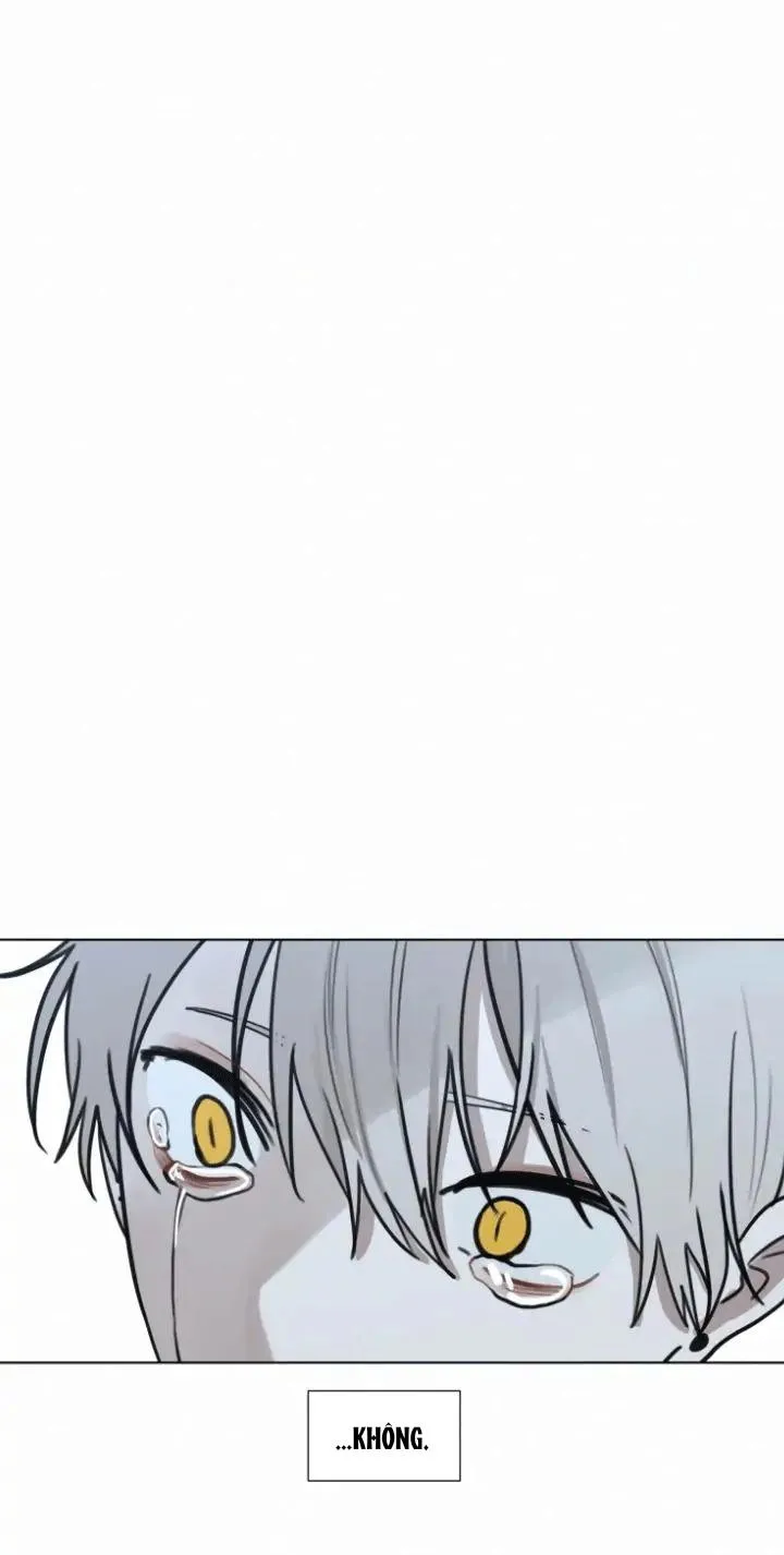 Dòng Máu Ma Cà Rồng Chapter 71 Trang 9