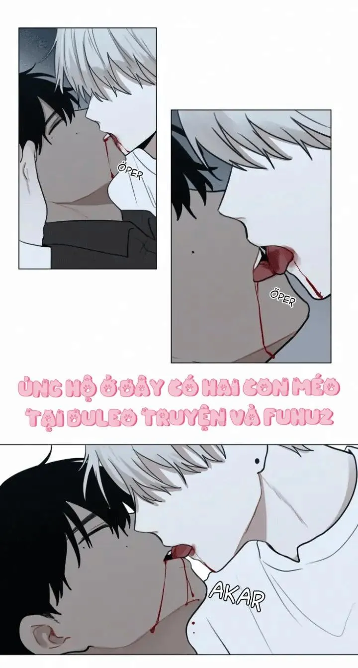 Dòng Máu Ma Cà Rồng Chapter 71 Trang 15