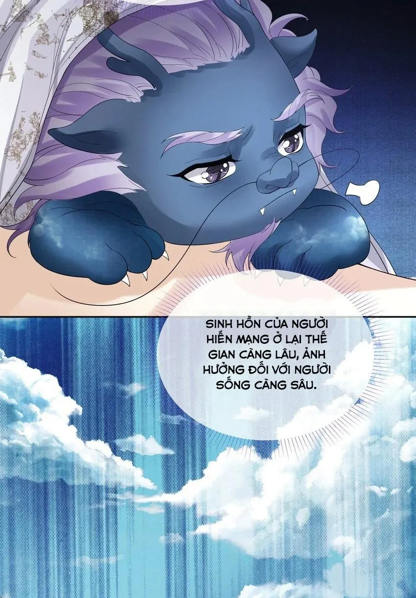 Đồng tiền tham khế Chapter 48 Trang 11