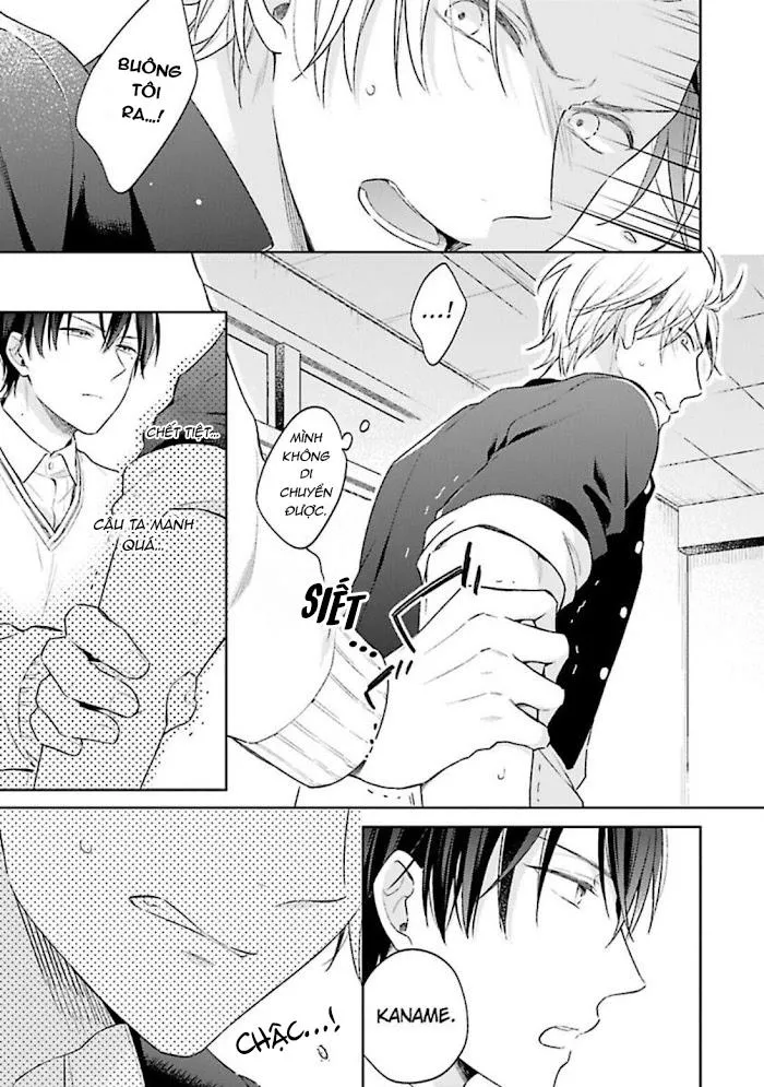 Bạn không thể đánh bại một anh chàng có hai bộ mặt Chapter 1 Trang 9