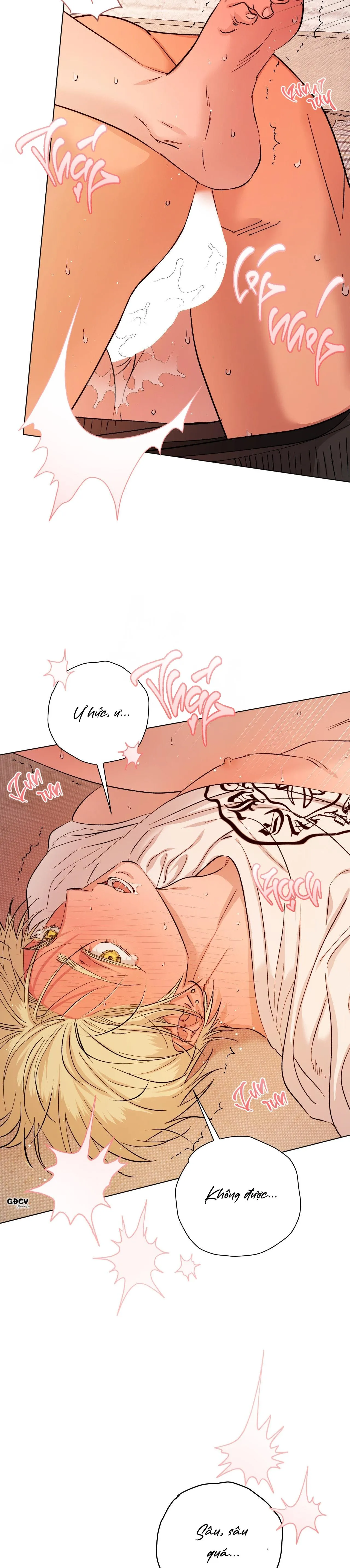 [END] DRIVER'S HIGH Chapter 23 Trang 7