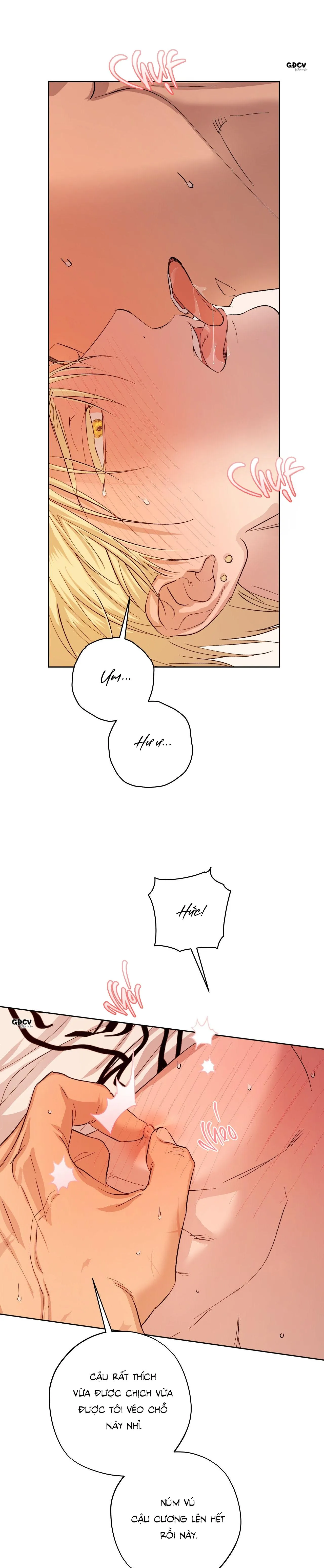 [END] DRIVER'S HIGH Chapter 23 Trang 9