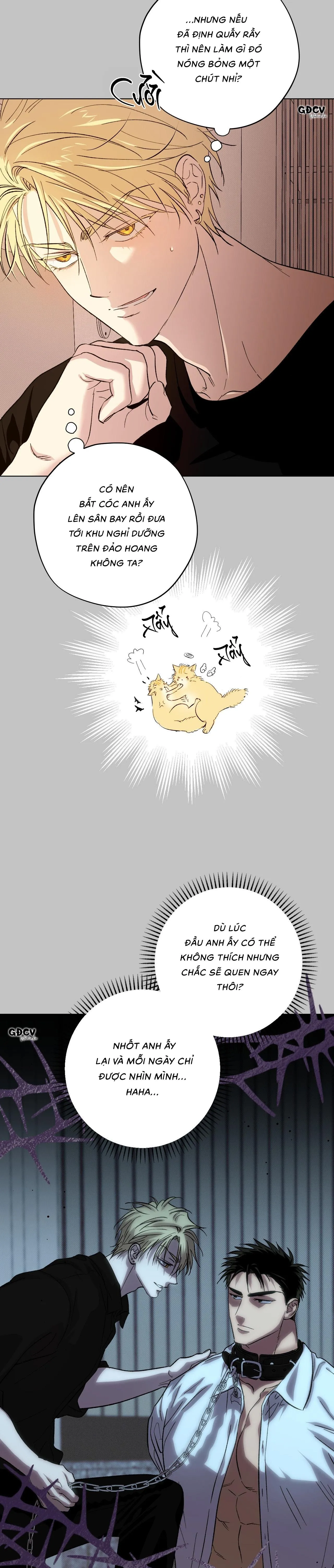 [END] DRIVER'S HIGH Chapter 24 Trang 8