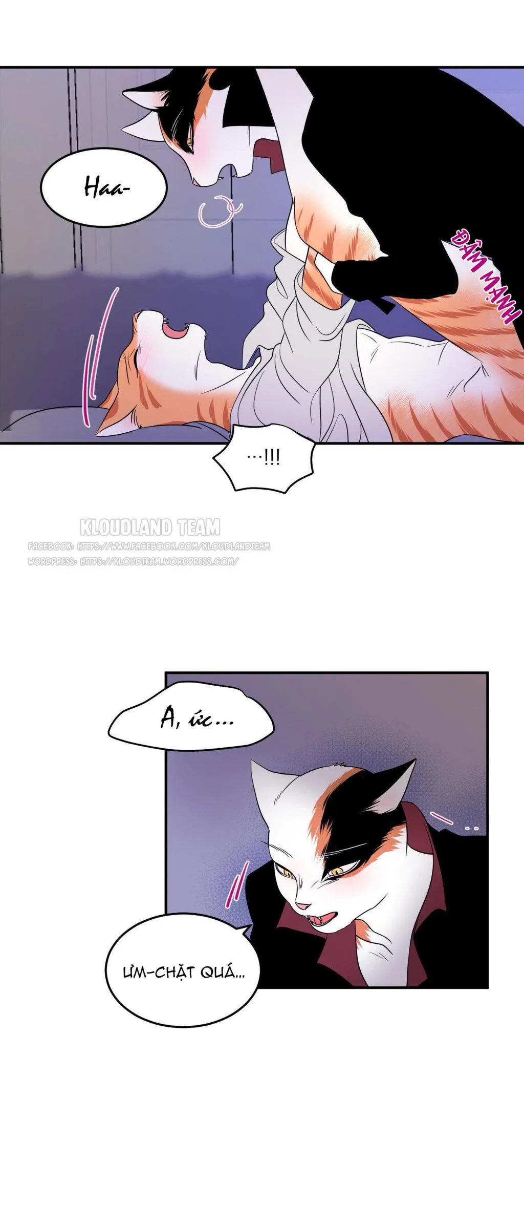 Dự Án Màu Xanh Chapter 2 Trang 11