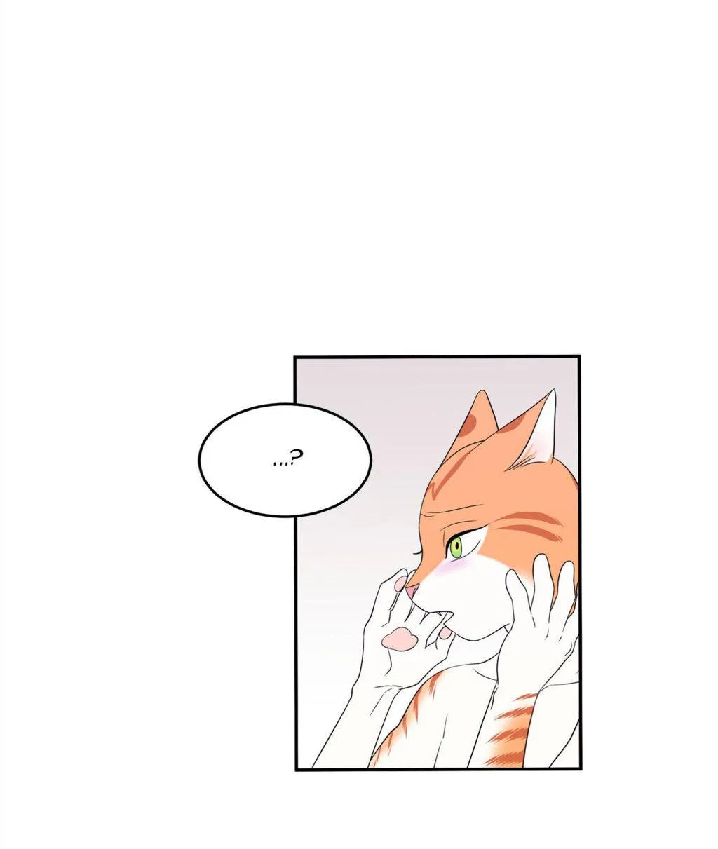 Dự Án Màu Xanh Chapter 4 Trang 10