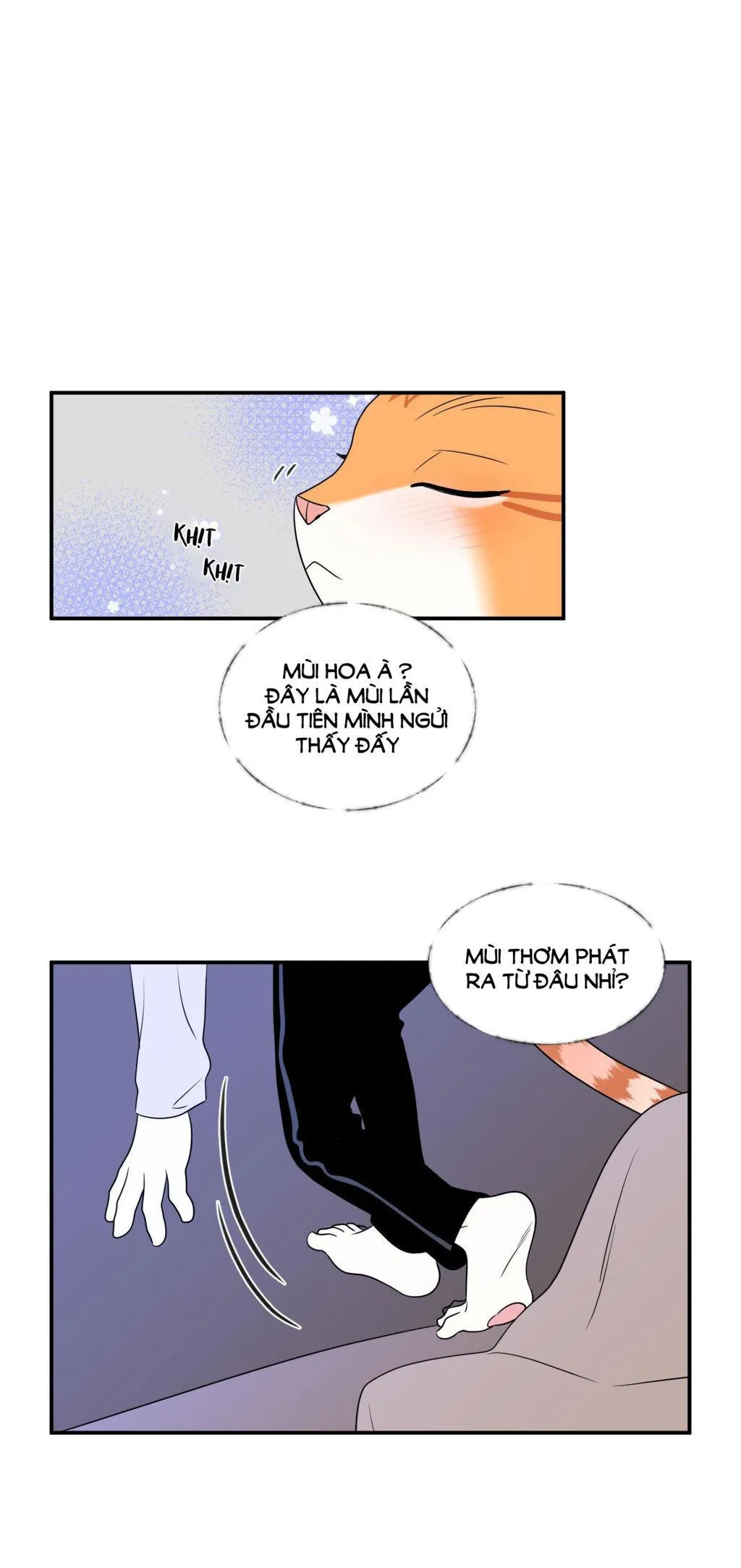 Dự Án Màu Xanh Chapter 1 Trang 27