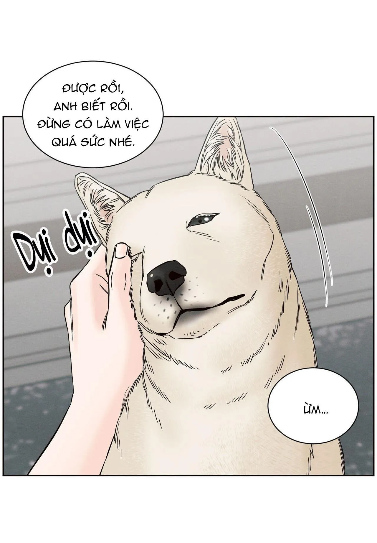Dù Anh Không Yêu Em Chapter 111 Trang 12