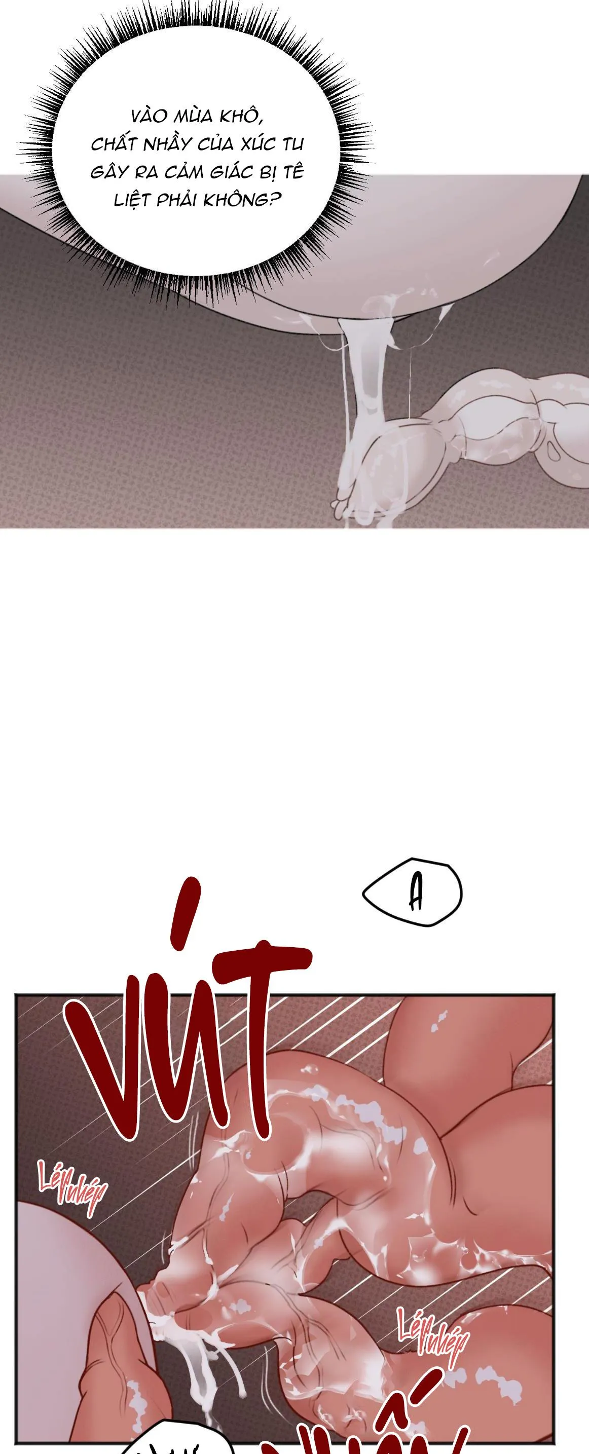 DỰ BÁO MƯA RÀO Chapter 2 Trang 6