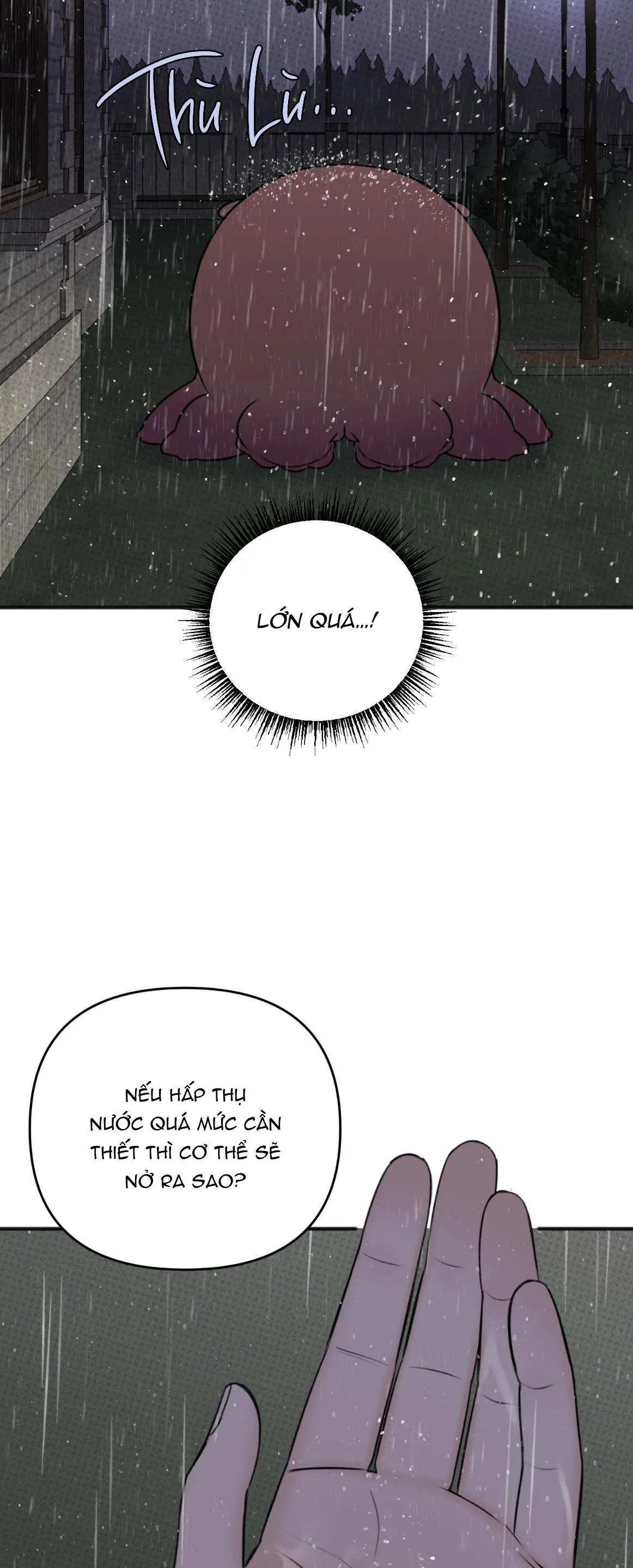 DỰ BÁO MƯA RÀO Chapter 5 Trang 37