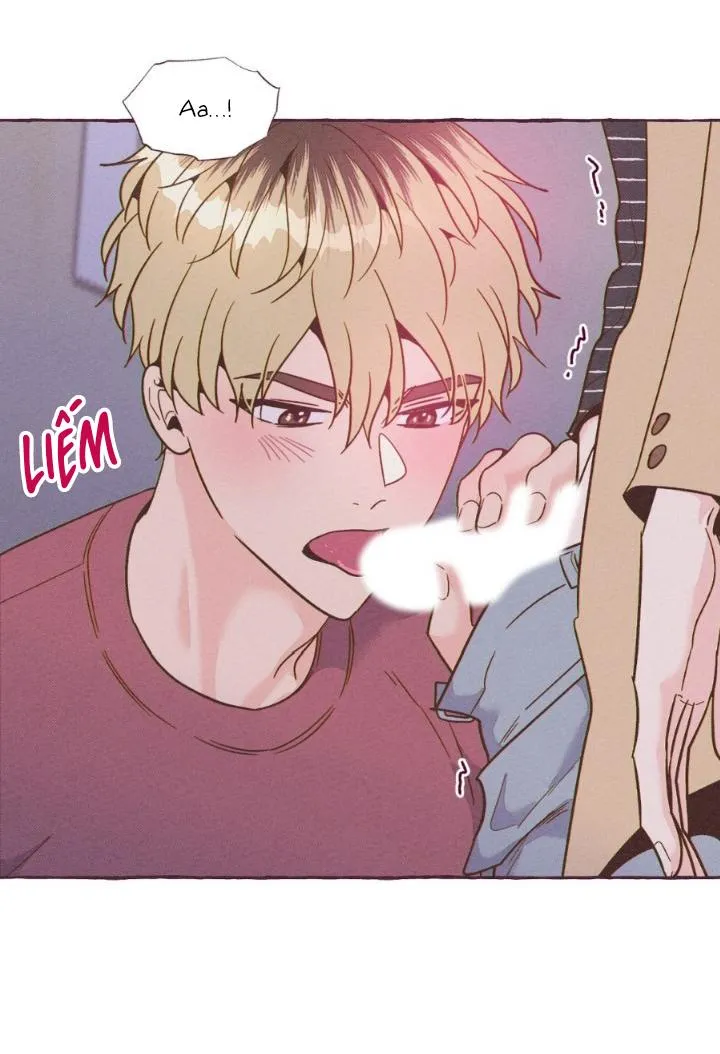 Dự Báo Thời Tiết Ngày Mai Sẽ Nắng Chapter 11 Trang 28