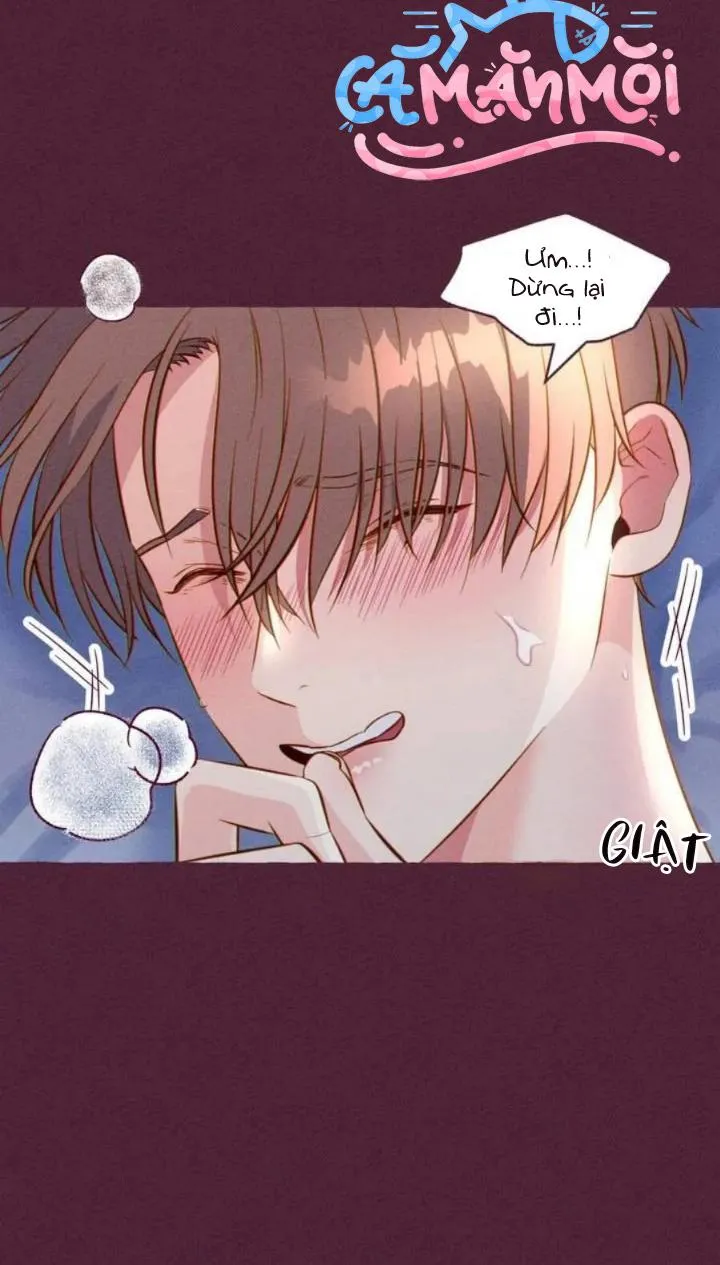 Dự Báo Thời Tiết Ngày Mai Sẽ Nắng Chapter 1 Trang 12