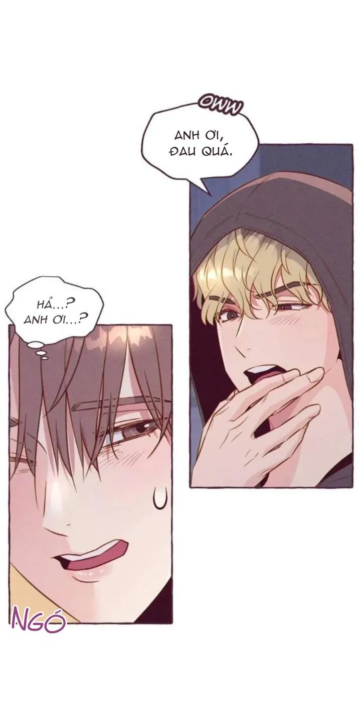 Dự Báo Thời Tiết Ngày Mai Sẽ Nắng Chapter 1 Trang 56