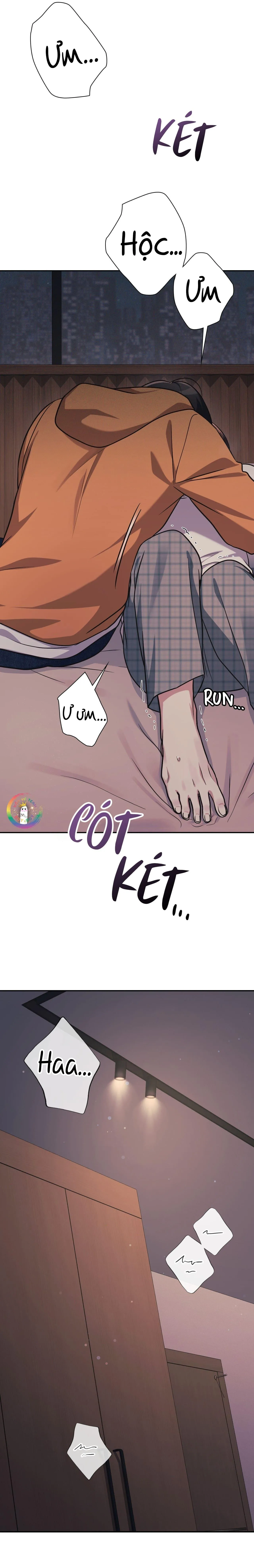 Dù Không Phải Guide Định Mệnh Của Cậu Chapter 10 Trang 6