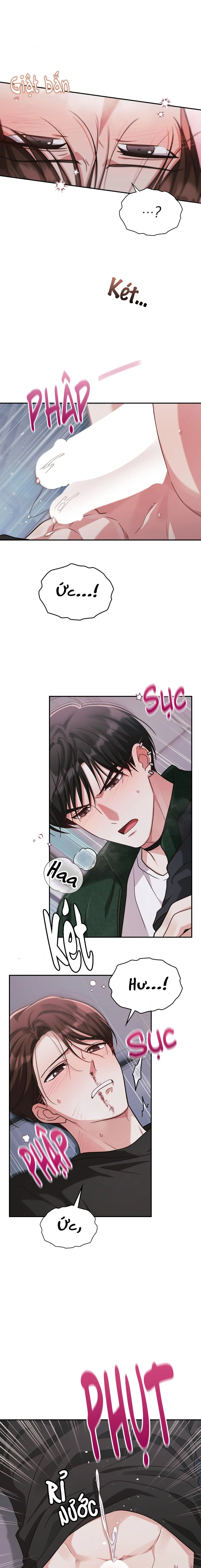 Dù Không Phải Guide Định Mệnh Của Cậu Chapter 12 Trang 10