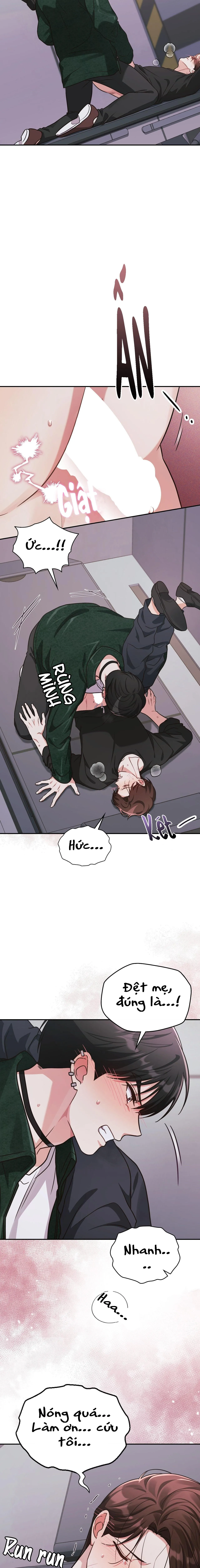 Dù Không Phải Guide Định Mệnh Của Cậu Chapter 12 Trang 14