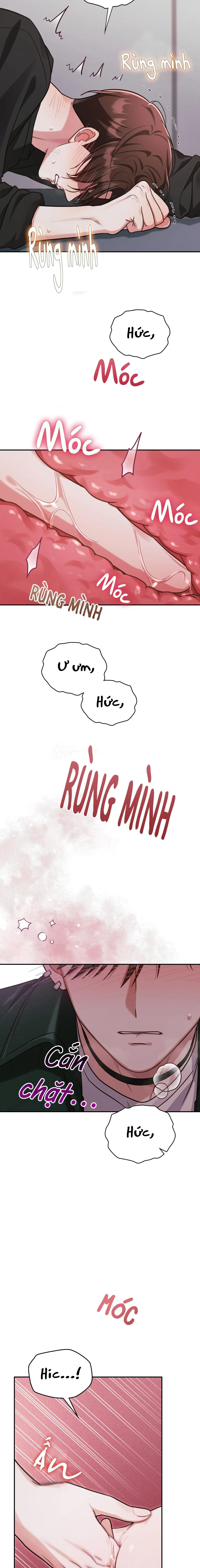 Dù Không Phải Guide Định Mệnh Của Cậu Chapter 12 Trang 17