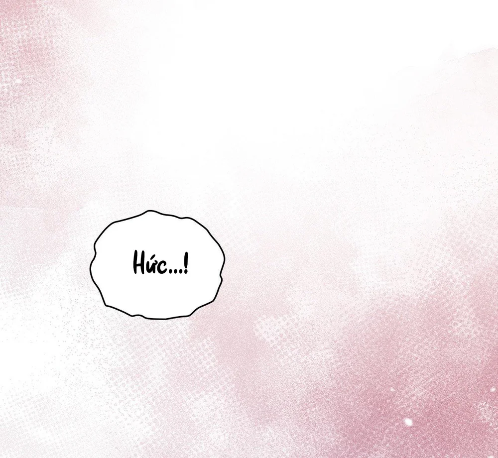 Dù Không Phải Guide Định Mệnh Của Cậu Chapter 27 Trang 67