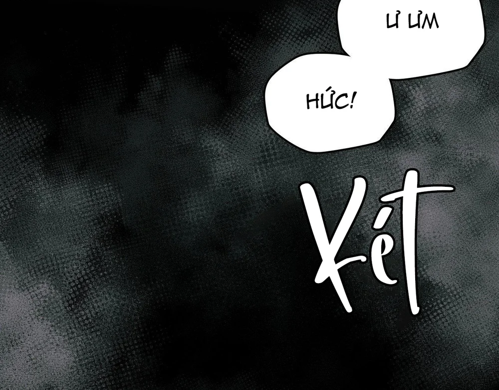 Dù Không Phải Guide Định Mệnh Của Cậu Chapter 29 Trang 69