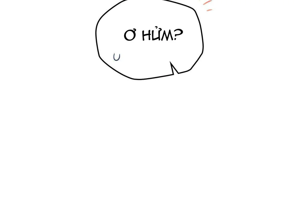 Dù Không Phải Guide Định Mệnh Của Cậu Chapter 30 Trang 31