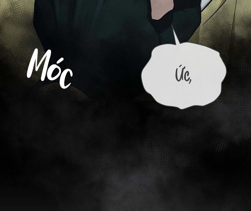 Dù Không Phải Guide Định Mệnh Của Cậu Chapter 31 Trang 12