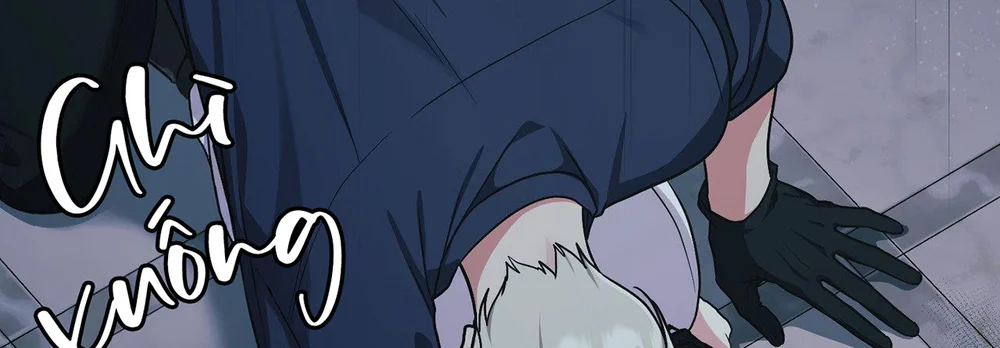 Dù Không Phải Guide Định Mệnh Của Cậu Chapter 32 Trang 15