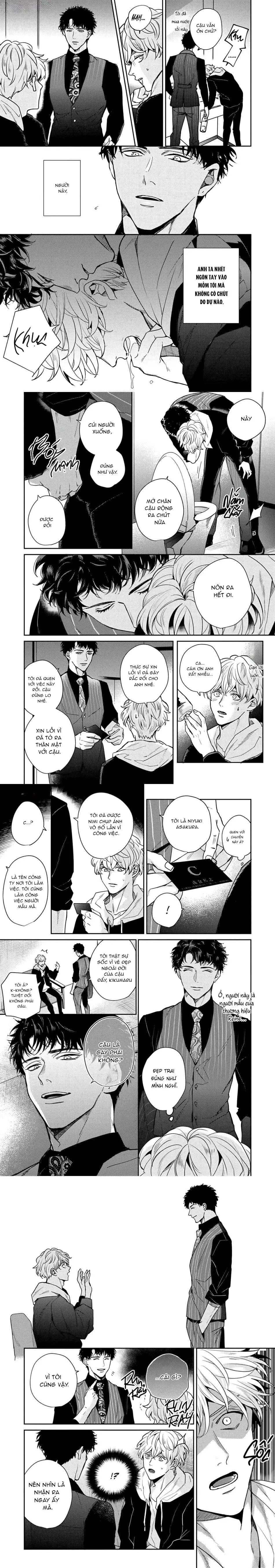 Dù Tôi Có Ngu Ngốc, Yếu Đuối Hay Thảm Hại Chapter 1 Trang 5