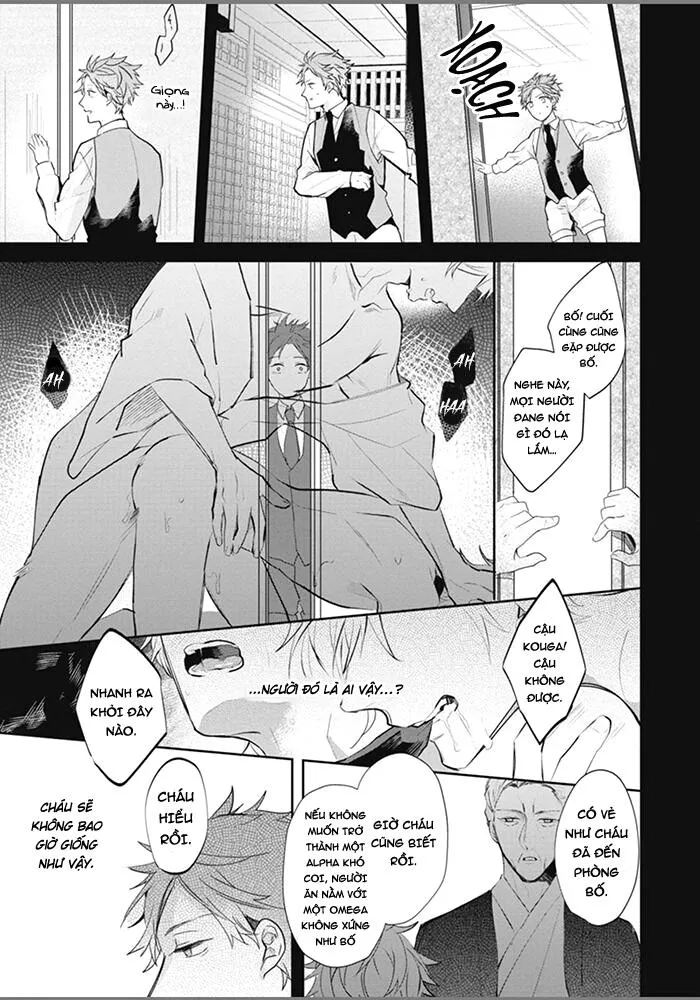 Đứa Con Của Alpha Chapter 2 Trang 6