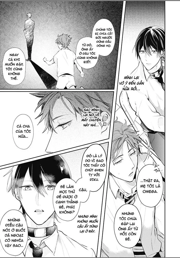 Đứa Con Của Alpha Chapter 3 Trang 14