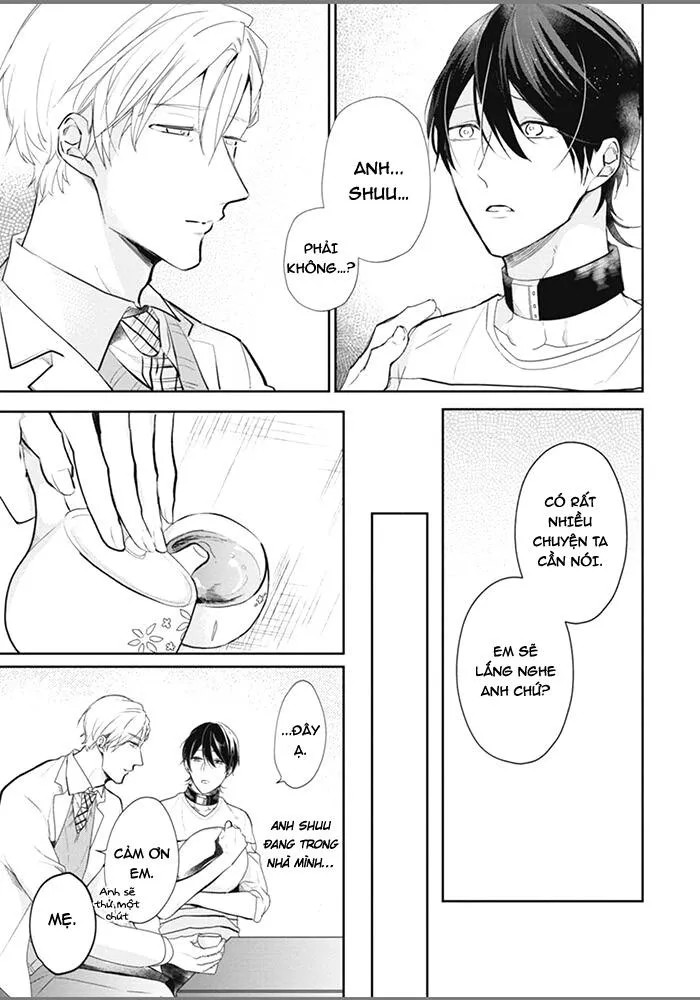 Đứa Con Của Alpha Chapter 5 Trang 4